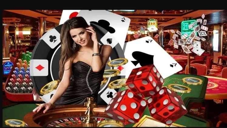 Why is Live Casino Ph444 always the focus of bettors?